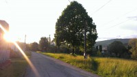 /album/michalova/a2013-06-11-20-05-49-jpg/